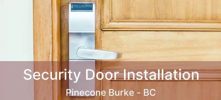  Security Door Installation Pinecone Burke - BC
