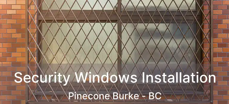  Security Windows Installation Pinecone Burke - BC