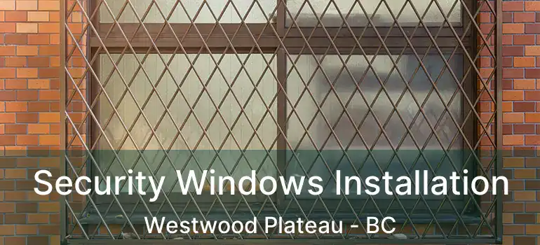  Security Windows Installation Westwood Plateau - BC