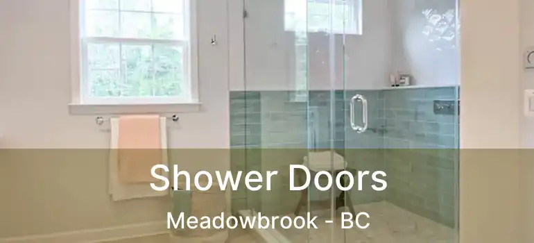  Shower Doors Meadowbrook - BC