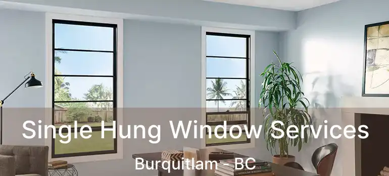  Single Hung Window Services Burquitlam - BC