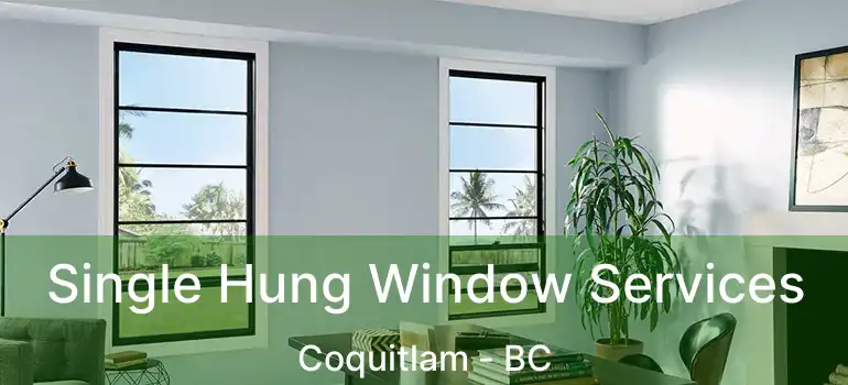  Single Hung Window Services Coquitlam - BC