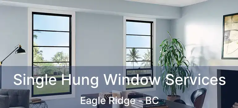  Single Hung Window Services Eagle Ridge - BC