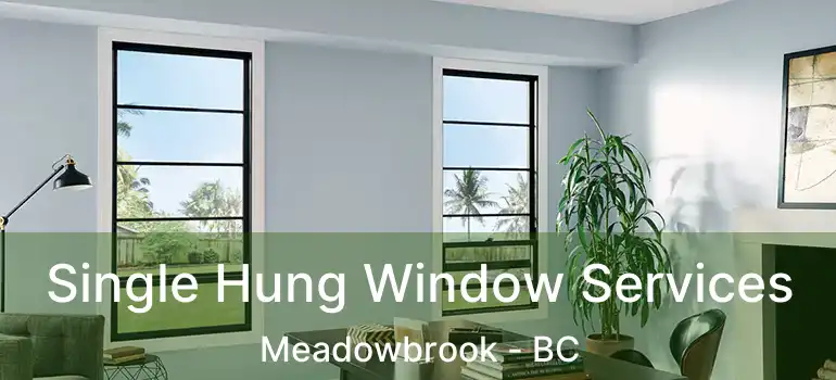  Single Hung Window Services Meadowbrook - BC