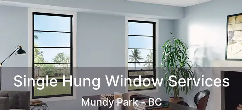  Single Hung Window Services Mundy Park - BC