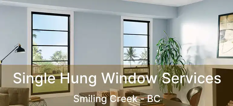  Single Hung Window Services Smiling Creek - BC