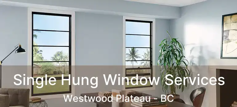  Single Hung Window Services Westwood Plateau - BC