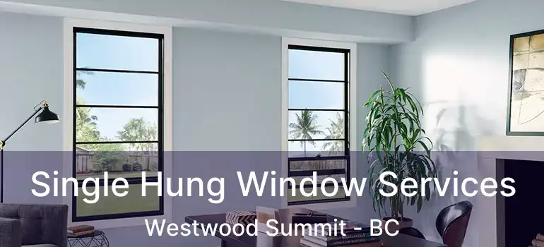  Single Hung Window Services Westwood Summit - BC