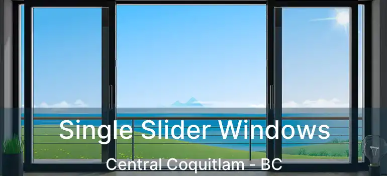  Single Slider Windows Central Coquitlam - BC