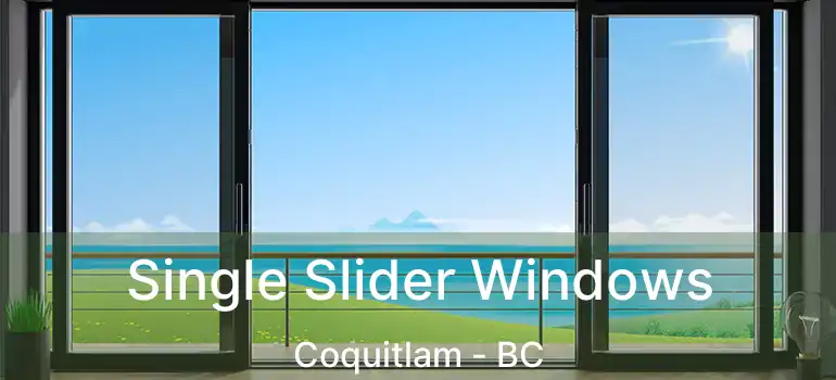  Single Slider Windows Coquitlam - BC