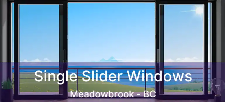  Single Slider Windows Meadowbrook - BC