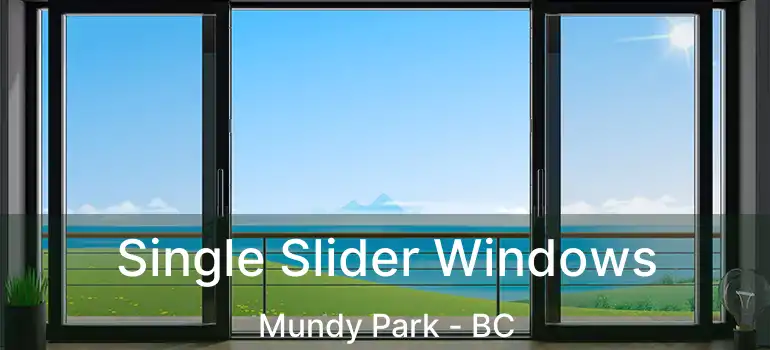  Single Slider Windows Mundy Park - BC