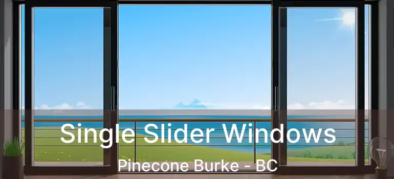  Single Slider Windows Pinecone Burke - BC