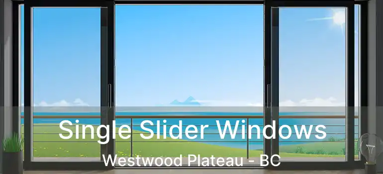  Single Slider Windows Westwood Plateau - BC
