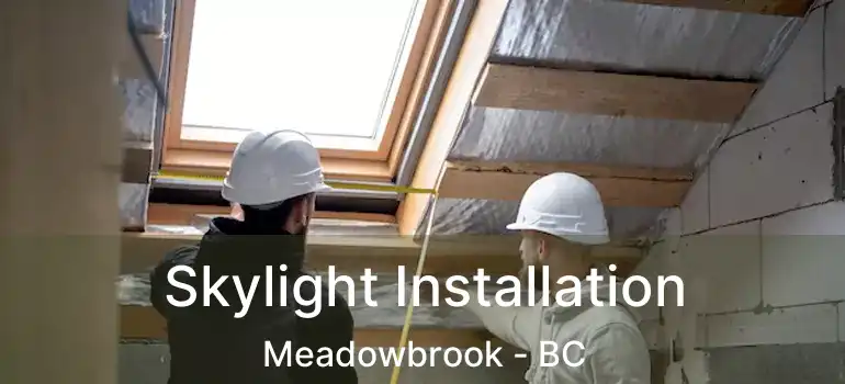  Skylight Installation Meadowbrook - BC