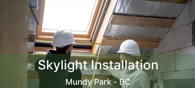  Skylight Installation Mundy Park - BC