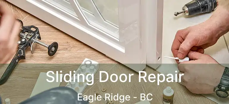  Sliding Door Repair Eagle Ridge - BC