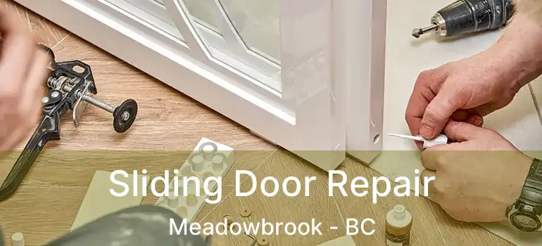  Sliding Door Repair Meadowbrook - BC