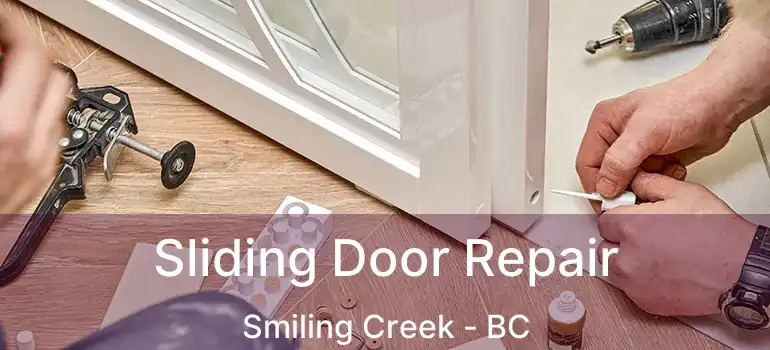  Sliding Door Repair Smiling Creek - BC