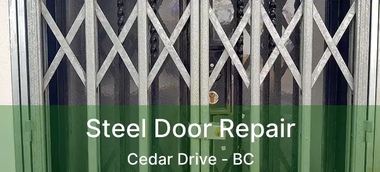  Steel Door Repair Cedar Drive - BC