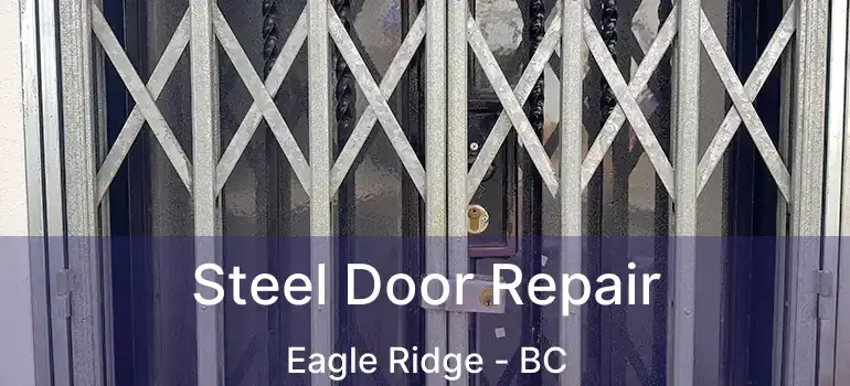 Steel Door Repair Eagle Ridge - BC