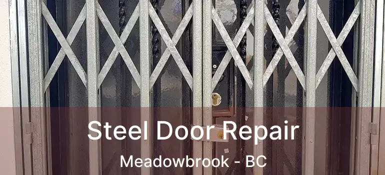  Steel Door Repair Meadowbrook - BC