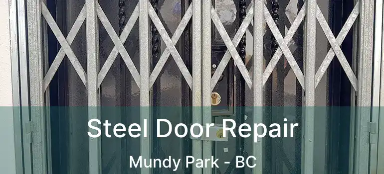  Steel Door Repair Mundy Park - BC