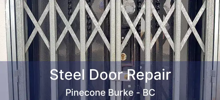  Steel Door Repair Pinecone Burke - BC