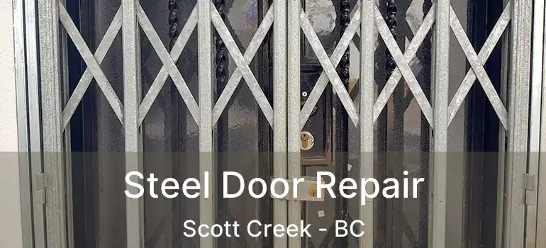  Steel Door Repair Scott Creek - BC