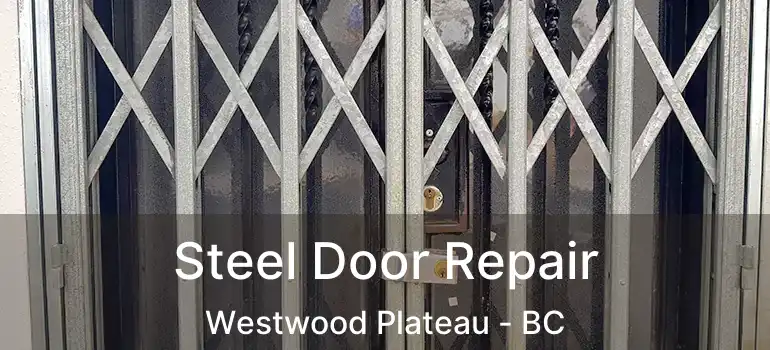  Steel Door Repair Westwood Plateau - BC