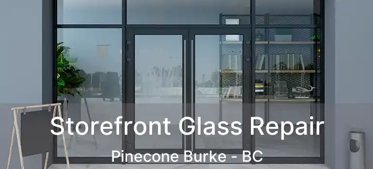  Storefront Glass Repair Pinecone Burke - BC