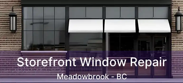  Storefront Window Repair Meadowbrook - BC