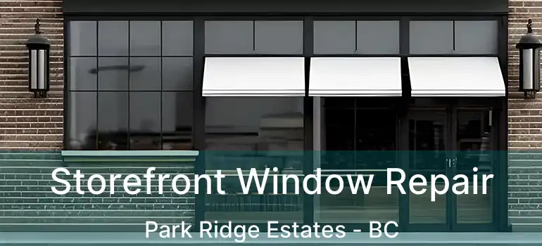  Storefront Window Repair Park Ridge Estates - BC