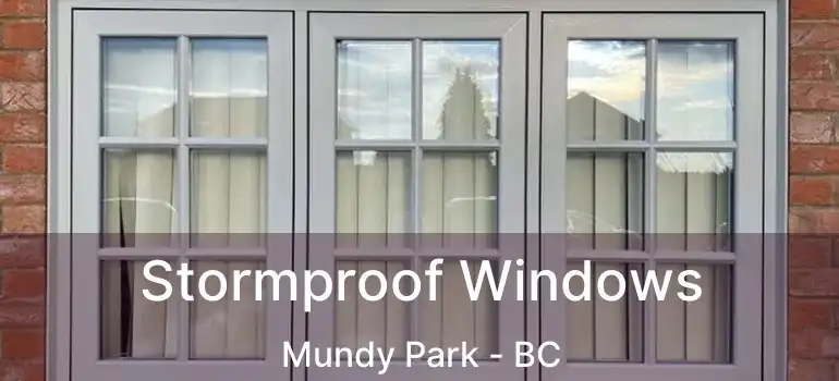  Stormproof Windows Mundy Park - BC