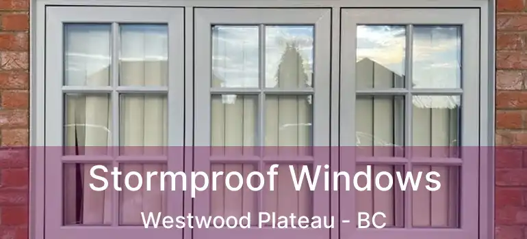  Stormproof Windows Westwood Plateau - BC