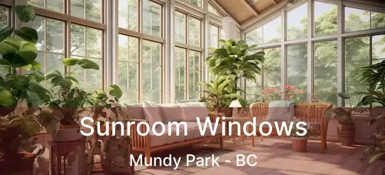  Sunroom Windows Mundy Park - BC