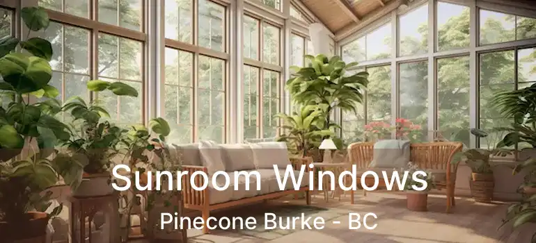  Sunroom Windows Pinecone Burke - BC