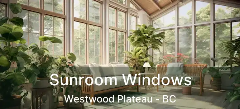  Sunroom Windows Westwood Plateau - BC