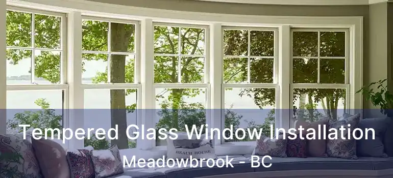  Tempered Glass Window Installation Meadowbrook - BC