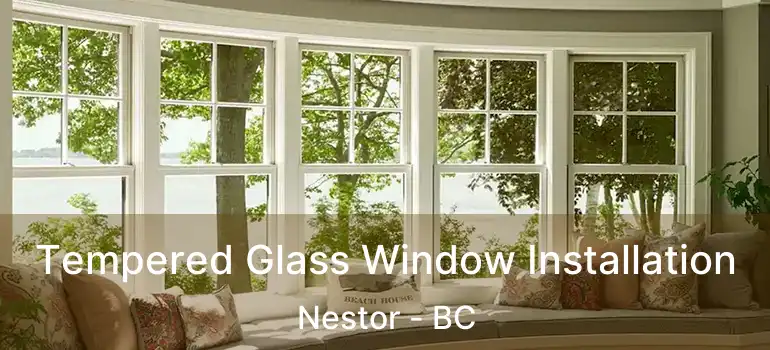  Tempered Glass Window Installation Nestor - BC