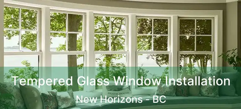  Tempered Glass Window Installation New Horizons - BC