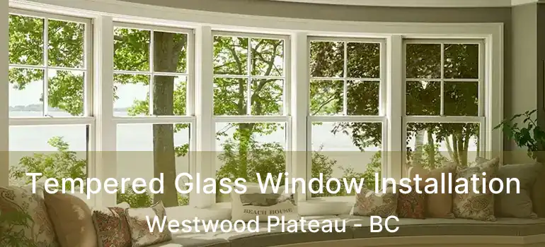  Tempered Glass Window Installation Westwood Plateau - BC