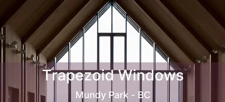  Trapezoid Windows Mundy Park - BC