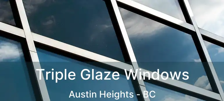  Triple Glaze Windows Austin Heights - BC