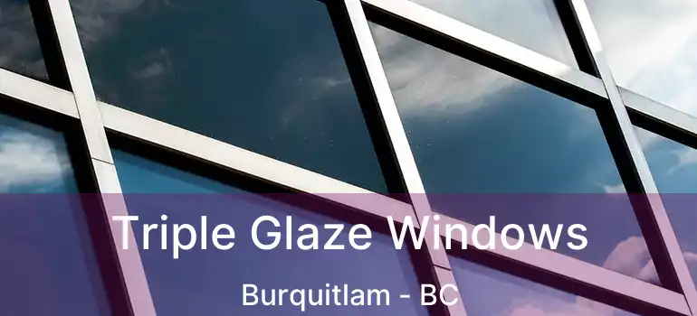  Triple Glaze Windows Burquitlam - BC