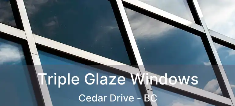  Triple Glaze Windows Cedar Drive - BC