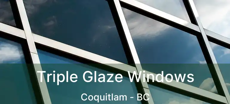  Triple Glaze Windows Coquitlam - BC
