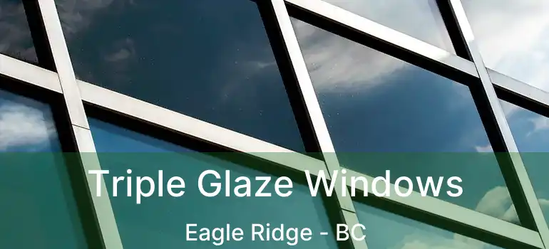  Triple Glaze Windows Eagle Ridge - BC