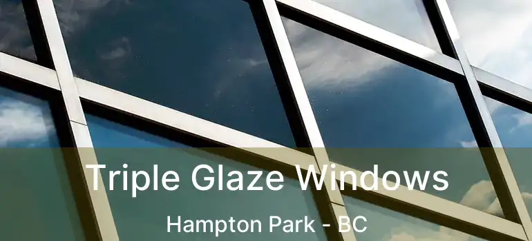  Triple Glaze Windows Hampton Park - BC