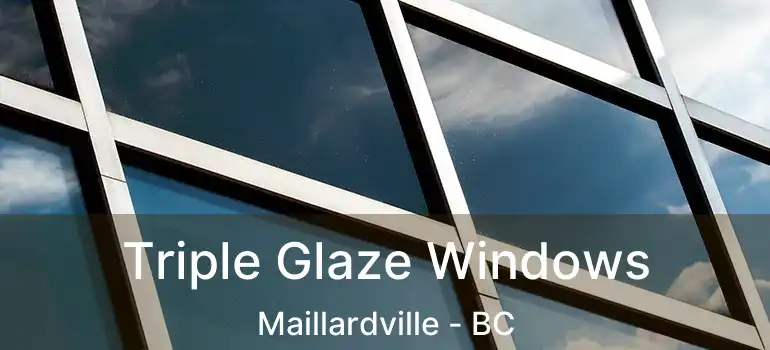 Triple Glaze Windows Maillardville - BC